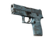 P250 | Forest Night (Well-Worn)