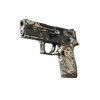 P250 | Gunsmoke (Battle-Scarred)