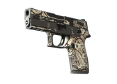 P250 - Пороховой дым - 168x120
