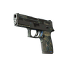 P250 | Exchanger (Battle-Scarred)