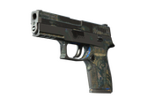 P250 - Обменник - 160x114