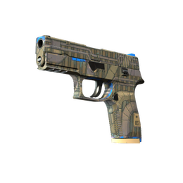 P250 | Exchanger (Factory New)