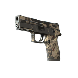 P250 | Black & Tan (Battle-Scarred)
