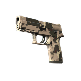 P250 | Black & Tan (Minimal Wear)