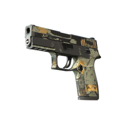 P250 | Modern Hunter (Battle-Scarred)