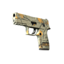 P250 | Modern Hunter