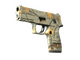 P250 | Modern Hunter (Minimal Wear)