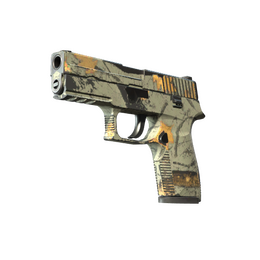 P250 | Modern Hunter (Field-Tested)