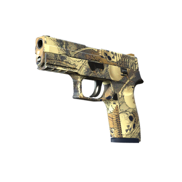 P250 | Contamination (Minimal Wear)