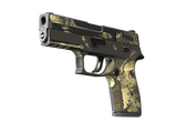 P250 - Заражение - 160x114