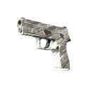 P250 | Sleet