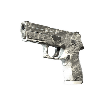 P250 | Sleet (Field-Tested)