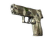 P250 | Bone Mask (Field-Tested)
