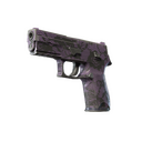 P250 | Plum Netting (Well-Worn)