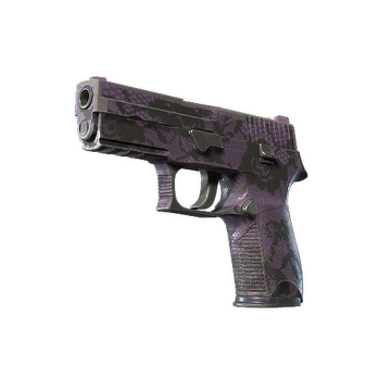 P250 | Plum Netting (Well-Worn)