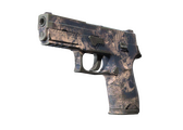 P250 - Безводье - 168x120