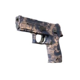 P250 | Drought (Factory New)