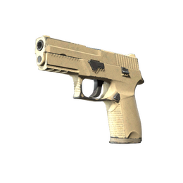 P250 | Sand Dune (Field-Tested)