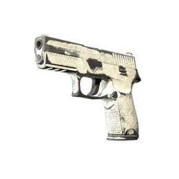 P250 | Whiteout (Battle-Scarred)