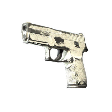P250 | Whiteout (Battle-Scarred)