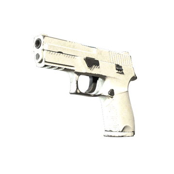 P250 | Whiteout (Well-Worn)