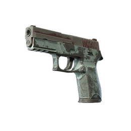 P250 | Copper Oxide (Battle-Scarred)