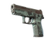 P250 | Copper Oxide (Battle-Scarred)