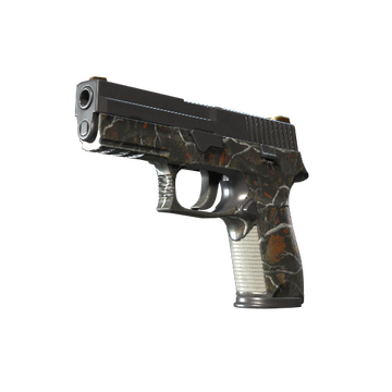 P250 | Small Game (Well-Worn)
