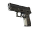 P250 | Small Game (Battle-Scarred)