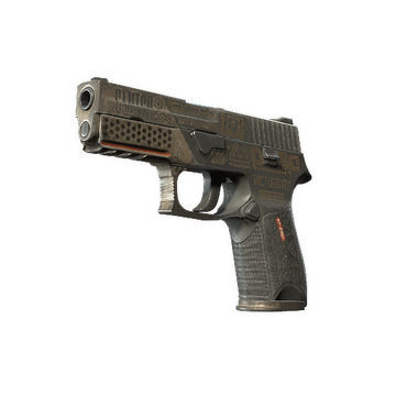 StatTrak™ P250 | Bullfrog (Battle-Scarred)