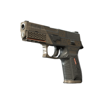 StatTrak™ P250 | Bullfrog (Well-Worn)