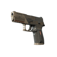 P250 | Bullfrog (Battle-Scarred)