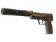 USP-S | Business Class (Well-Worn)