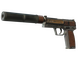 USP-S | Business Class (Battle-Scarred)