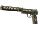 StatTrak™ USP-S | Flashback (Well-Worn)