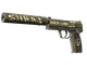 USP-S | Flashback (Factory New)
