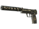 USP-S | Flashback (Battle-Scarred)