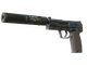 USP-S | Guardian (Field-Tested)