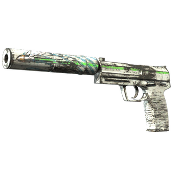 USP-S | Road Rash (Well-Worn)