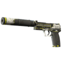 USP-S | Torque (Field-Tested)