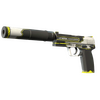 USP-S | Torque (Factory New)