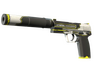 USP-S | Torque