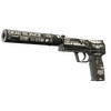 StatTrak™ USP-S | Ticket to Hell (Field-Tested)