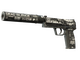 StatTrak™ USP-S | Ticket to Hell (Field-Tested)