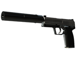StatTrak™ USP-S | Stainless