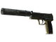 StatTrak™ USP-S | Lead Conduit (Battle-Scarred)