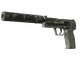 Souvenir USP-S | Night Ops (Battle-Scarred)
