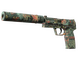 USP-S | Ancient Visions (Field-Tested)