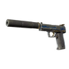 USP-S | Royal Guard (Battle-Scarred)