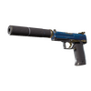 USP-S | Royal Guard (Well-Worn)